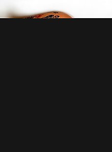 The Best BBW Porn Action On The Net